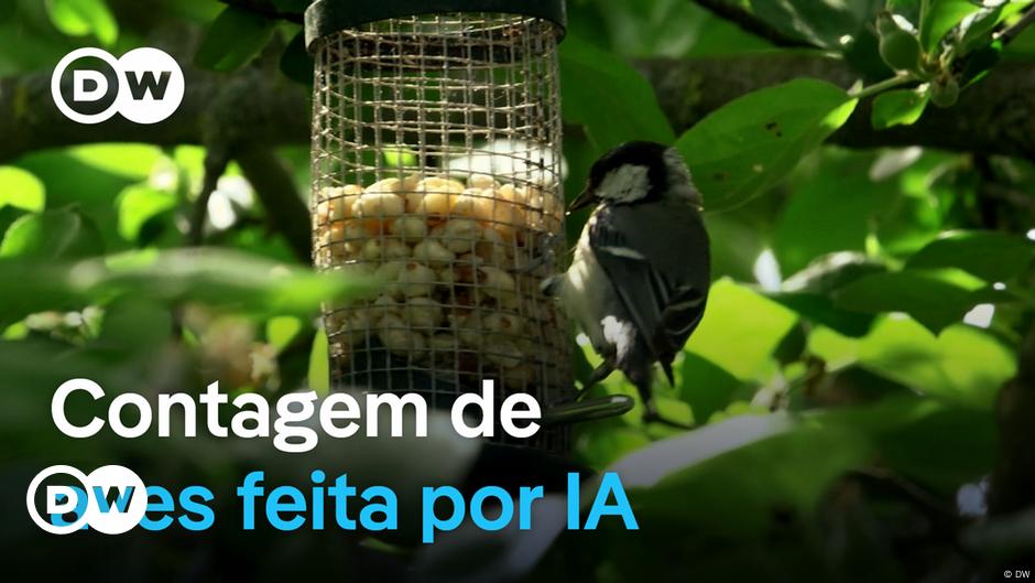 Imagem de um drone sobrevoando uma área natural, coletando dados sobre aves com tecnologia de inteligência artificial.